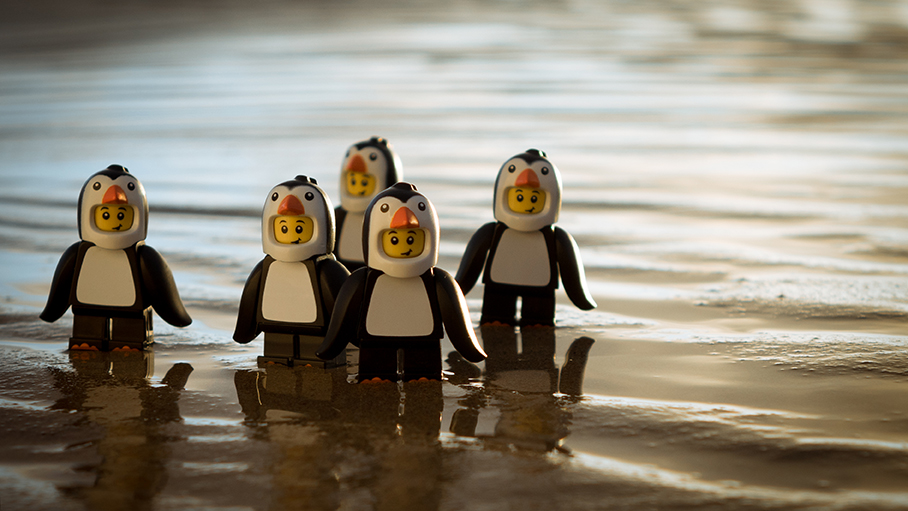 five penguins
