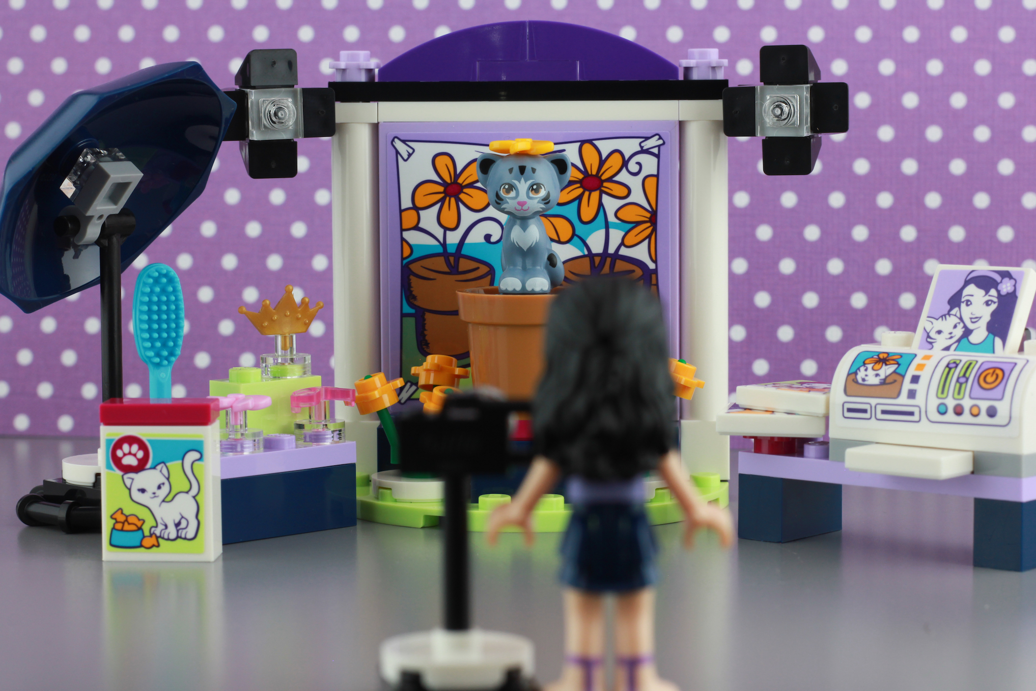 lego friends 41305