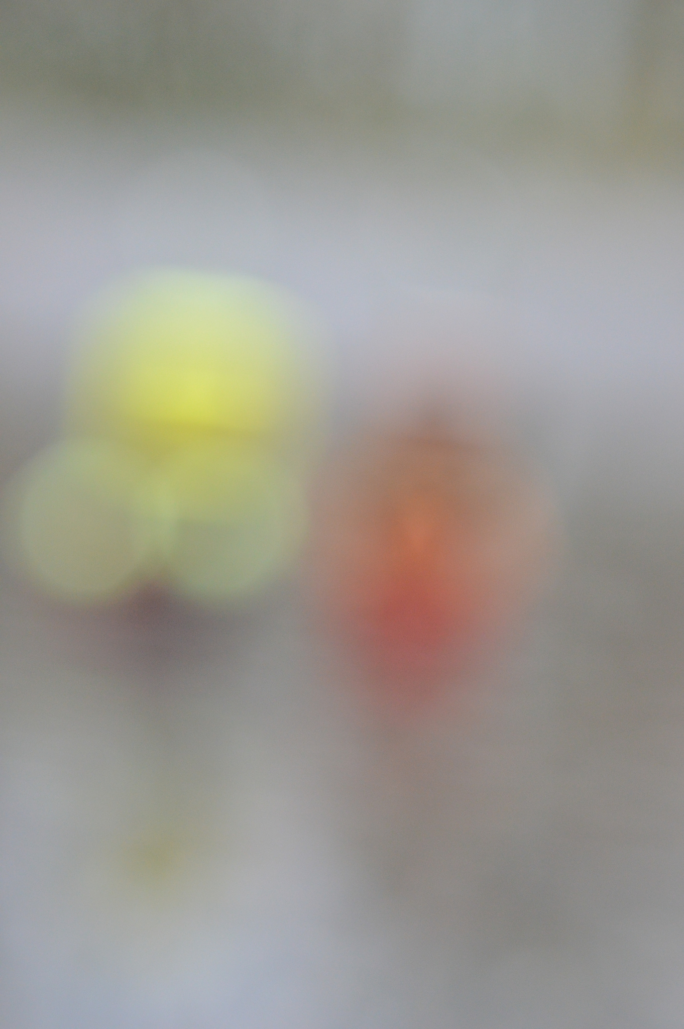 Toys out of focus