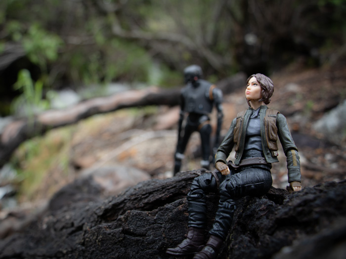 Jyn and K-2SO in the woods by @teddi_toyworld