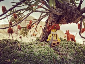 Prospector Lego under bonsai juniper