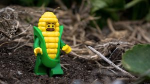 Series 17 Review: Corn Cob Guy