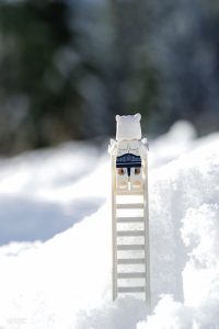 LEGO Chima polar bear stands at the top of a lego ladder surveying the snowy landscape