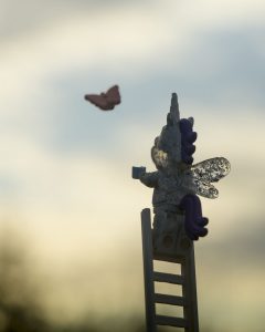 Lego unicorn at top of ladder trying to catch butterfly photo by Shelly Corbett