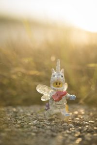 LEGO unicorn catches butterfly at sunset photo by Shelly Corbett