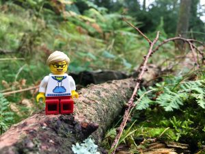 LEGO figure in the forest