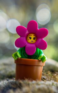 Series 18: Flowerpot Girl