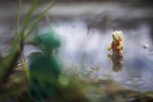 A blurry LEGO swamp monster hides in the bushes and watches the bathing beauty in the lake - taken with a LensBaby by Shelly Corbett