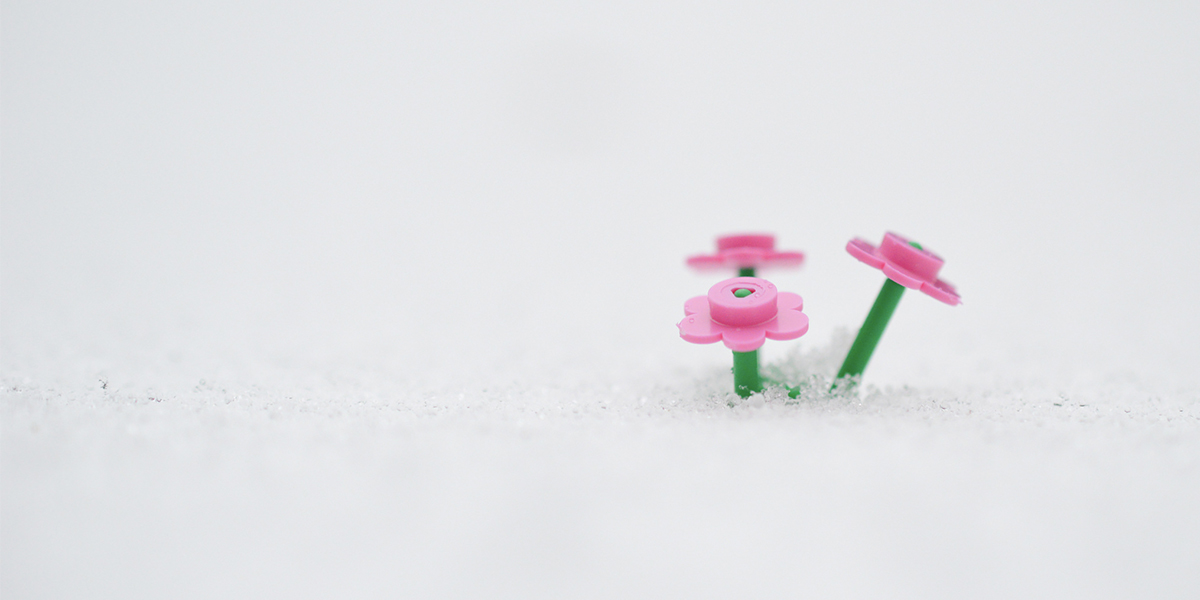 LEGO flowers in the snow