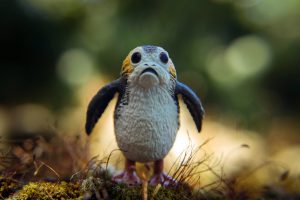 BBTS Star Wars Black Series review and giveaway: Porg!