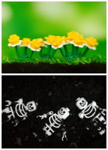 Pushing Daisies LEGO minifigure flowers diptych by James Garcia