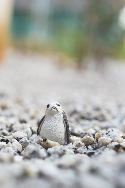 A Porg in a stone bed