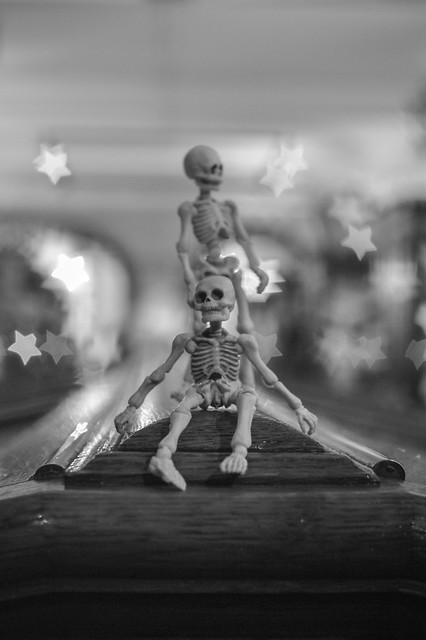 Two toy skeletons in a museum surrounded by stars