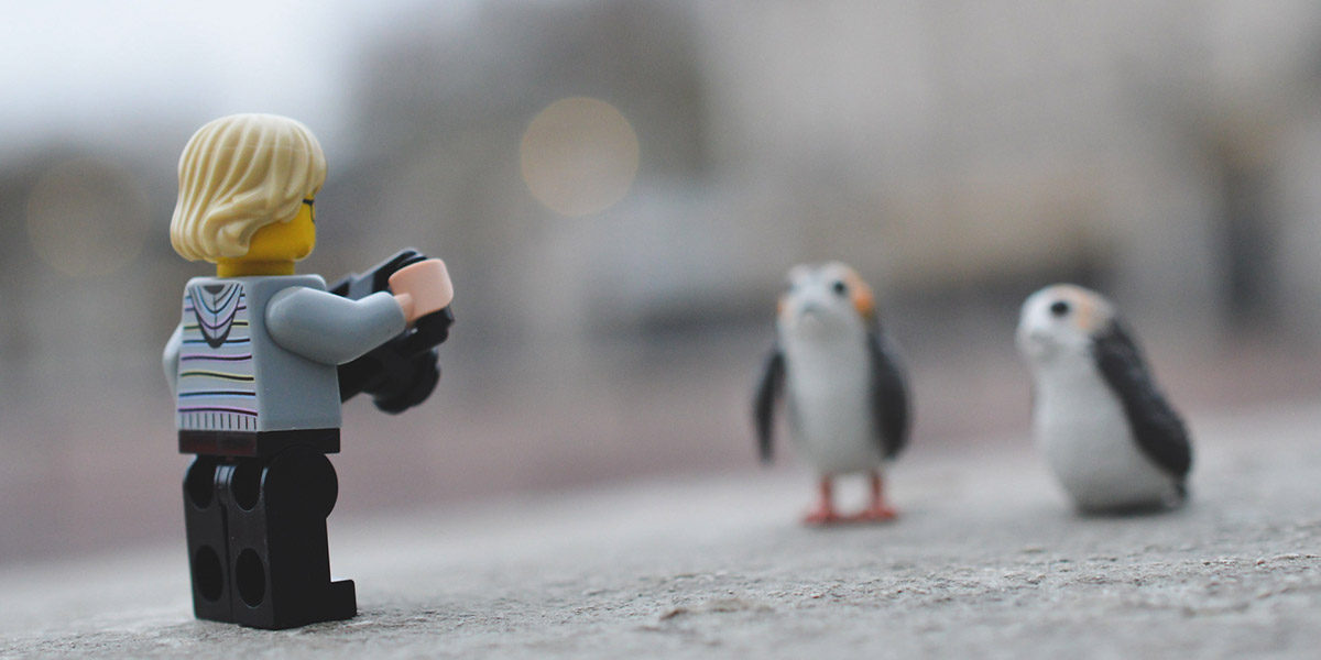 Minifigure taking a photo of toy porgs