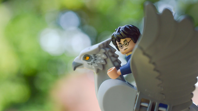 Harry riding Buckbeak