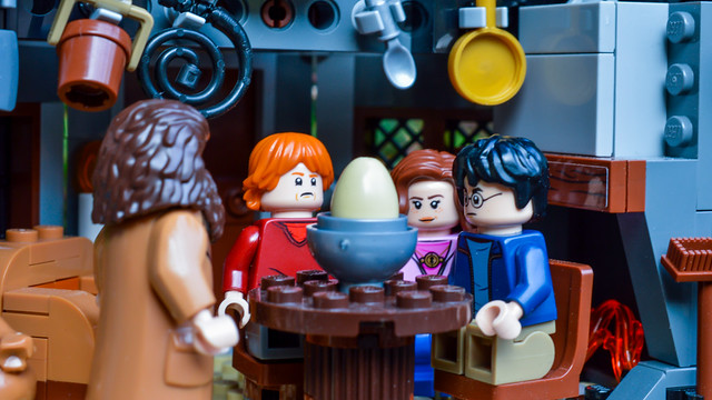 The trio watch an egg with hagrid