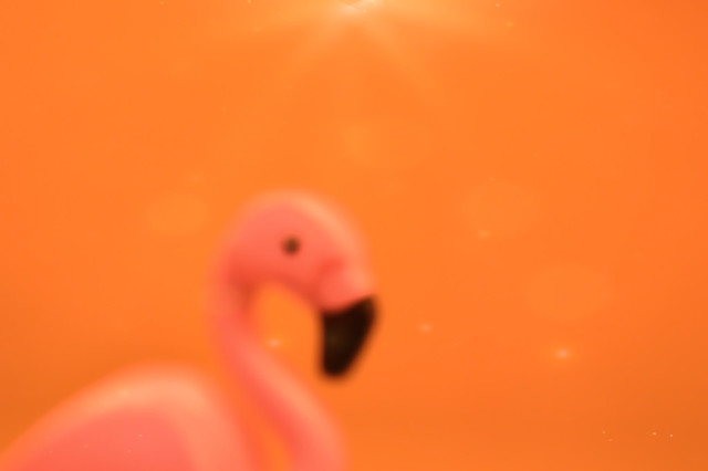 A toy flamingo in abstract