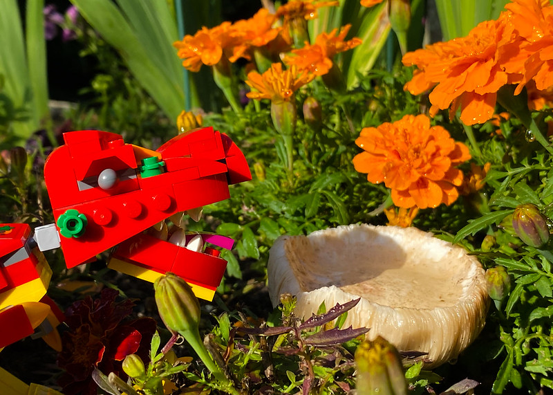 LEGO dinosaur with a mushroom