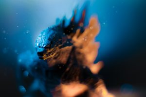 Godzilla by @inspiredbyandre