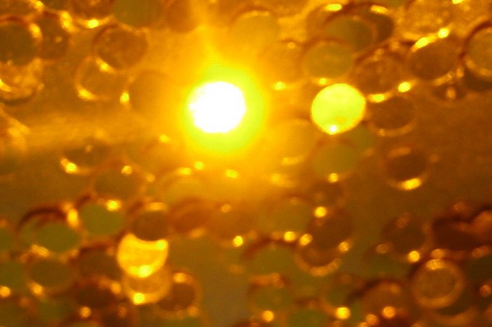 Gold coins