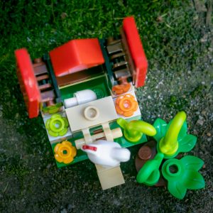 Easter bunny LEGO set - chicken house open from above by Teddi Deppner