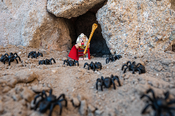 Pharoah Lego Minifig surrounded by spiders