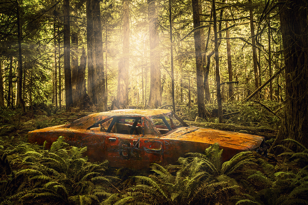 Car in the woods with Photoshop Adjustment Layers.