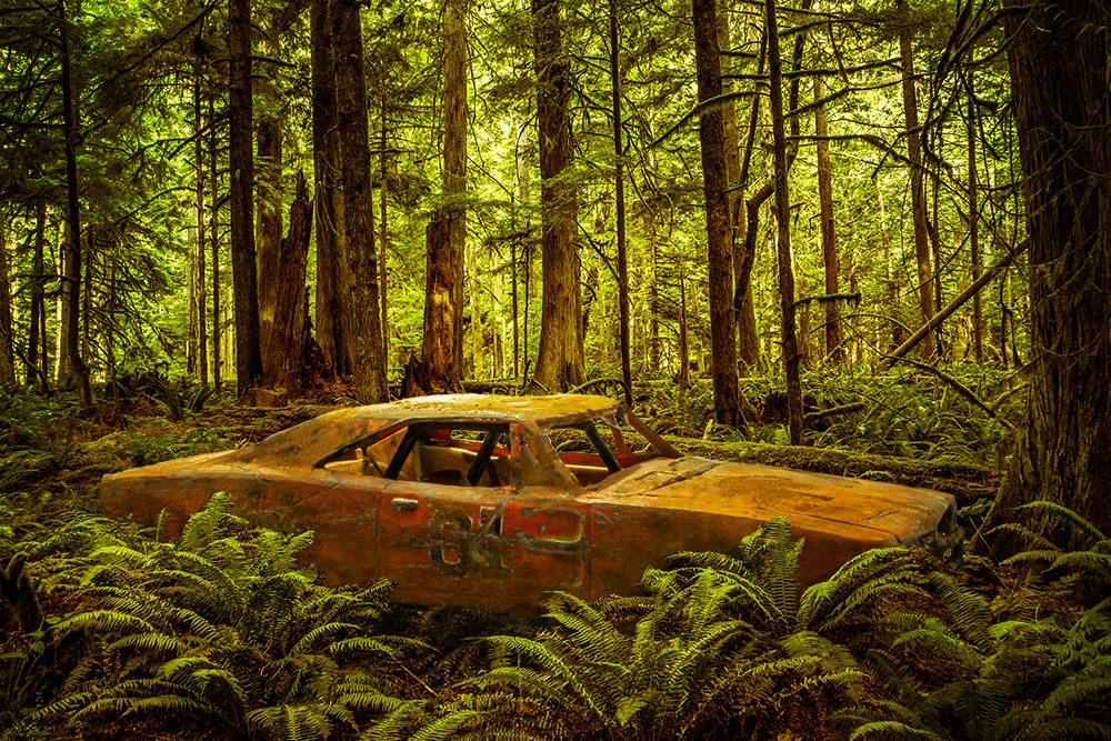 Car in the woods without Photoshop adjustment layers.