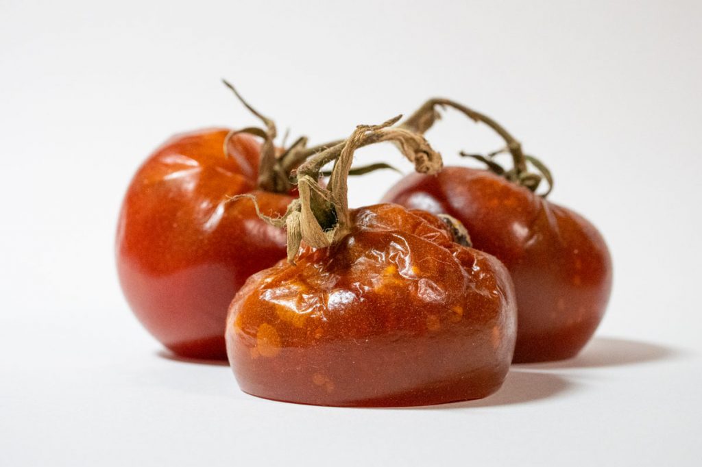 Rotten Tomatoes A SixImage Narrative Toy Photographers