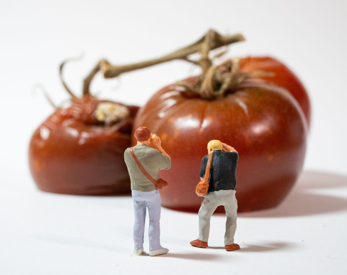 HO scale photographers taking pictures of rotten tomatoes.