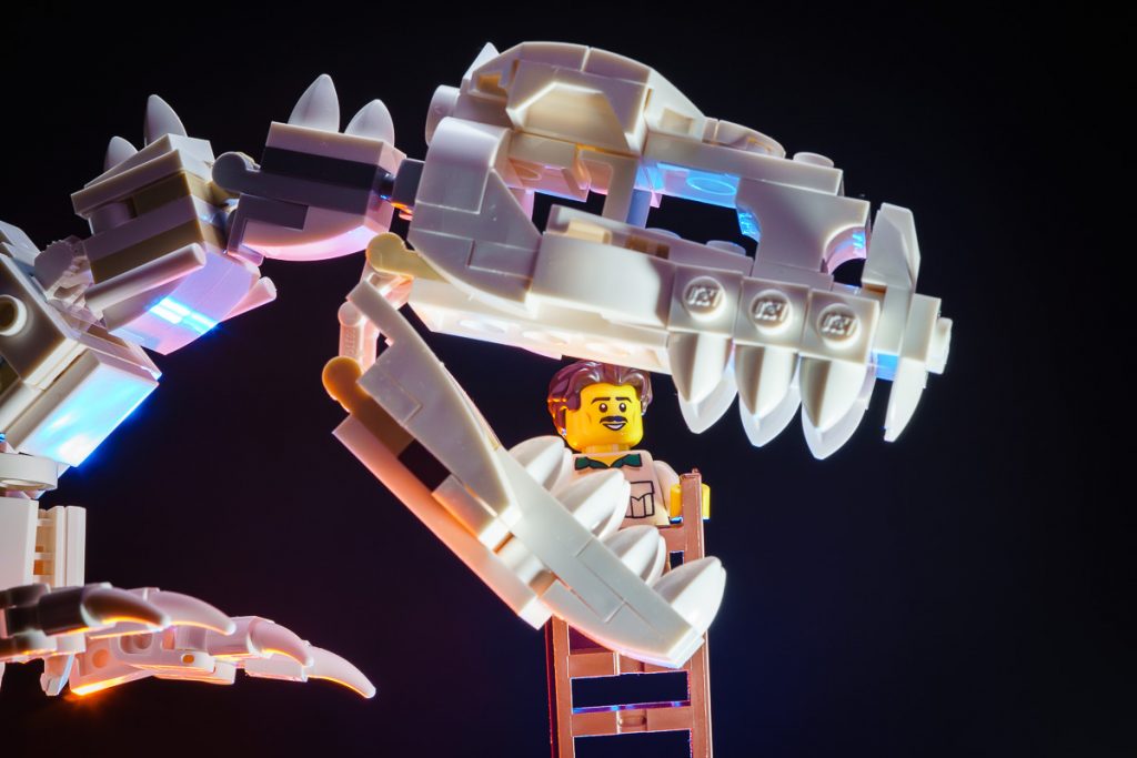 Måler stå på række krone A Prehistoric Discovery: LEGO Ideas Dinosaur Fossils (21320) Review