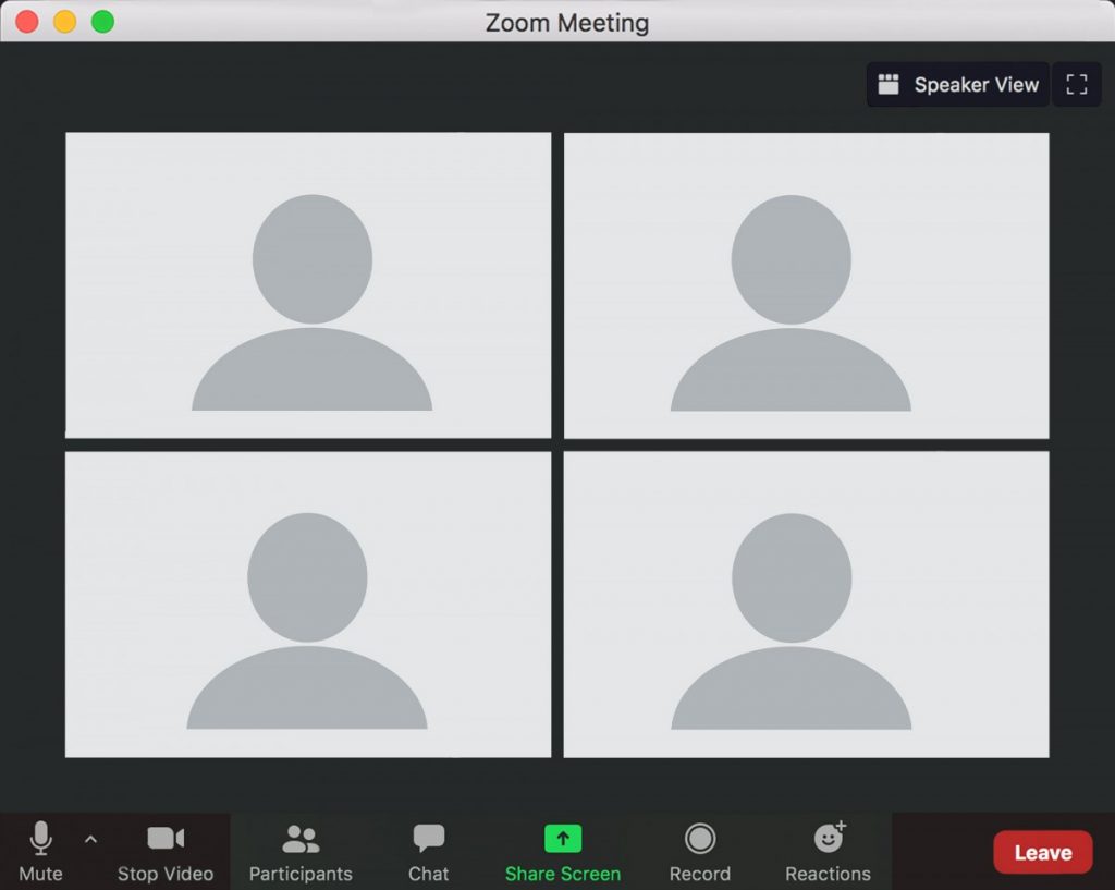 test zoom video call