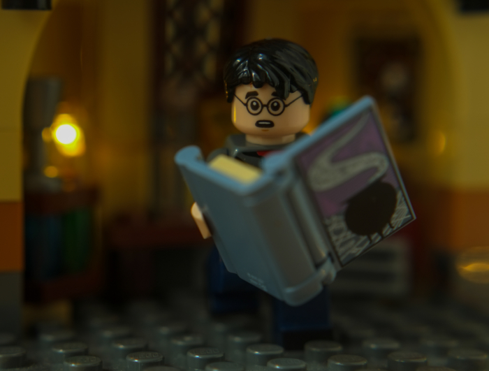 Harry Potter with Book of Potions