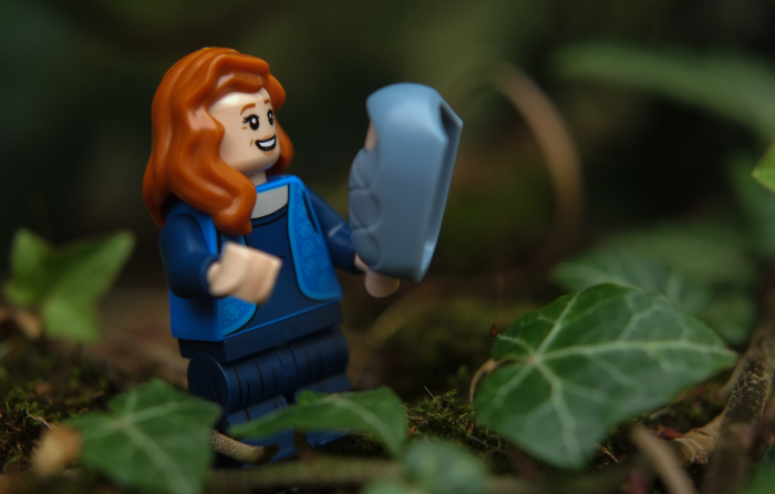 Lego lily discount and james potter