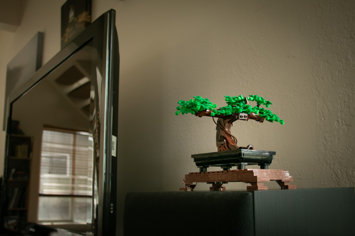 Just finished the Lego Bonsai and still in disbelief how someone designed  this - Such a fun build : r/lego