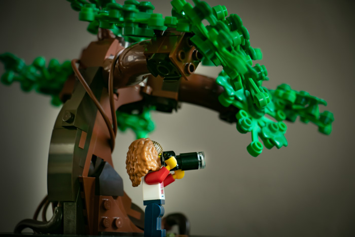 LEGO Bonsai Tree Home Decor or Toy Photography Diorama