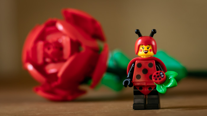 ▻ Très vite testés : LEGO 40460 Roses & 40461 Tulips - HOTH BRICKS