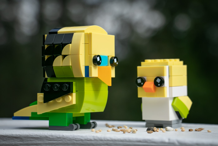 LEGO's new Brickheadz Pets Budgie and Goldfish are put through their paces in this review by toy photographer Teddi Deppner.