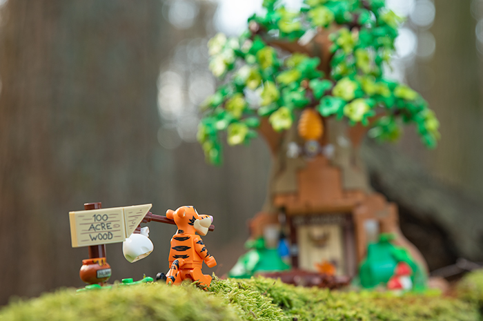 LEGO Winnie the Pooh set