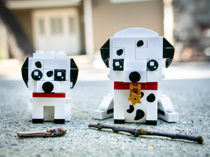 Toy photographer Teddi Deppner tackles the challenge of bringing the LEGO Brickheadz Pets Dalmatians to life on camera.