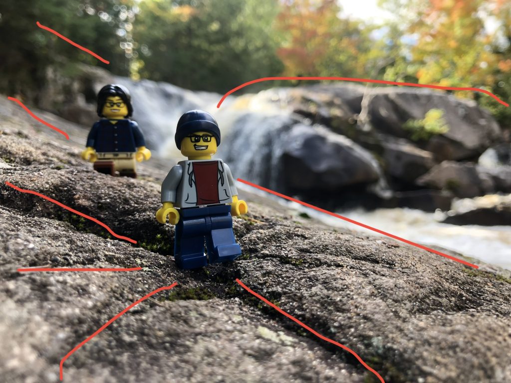 Leading Lines In Nature - The Perry Lego Adventures
