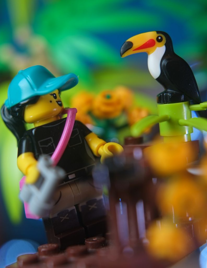 LEGO female birdwatcher in explorer like clothes looking at moulded LEGO toucan