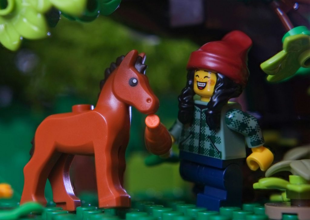 LEGO teenage girl minifigure with carrot standing next to moulded LEGO foal