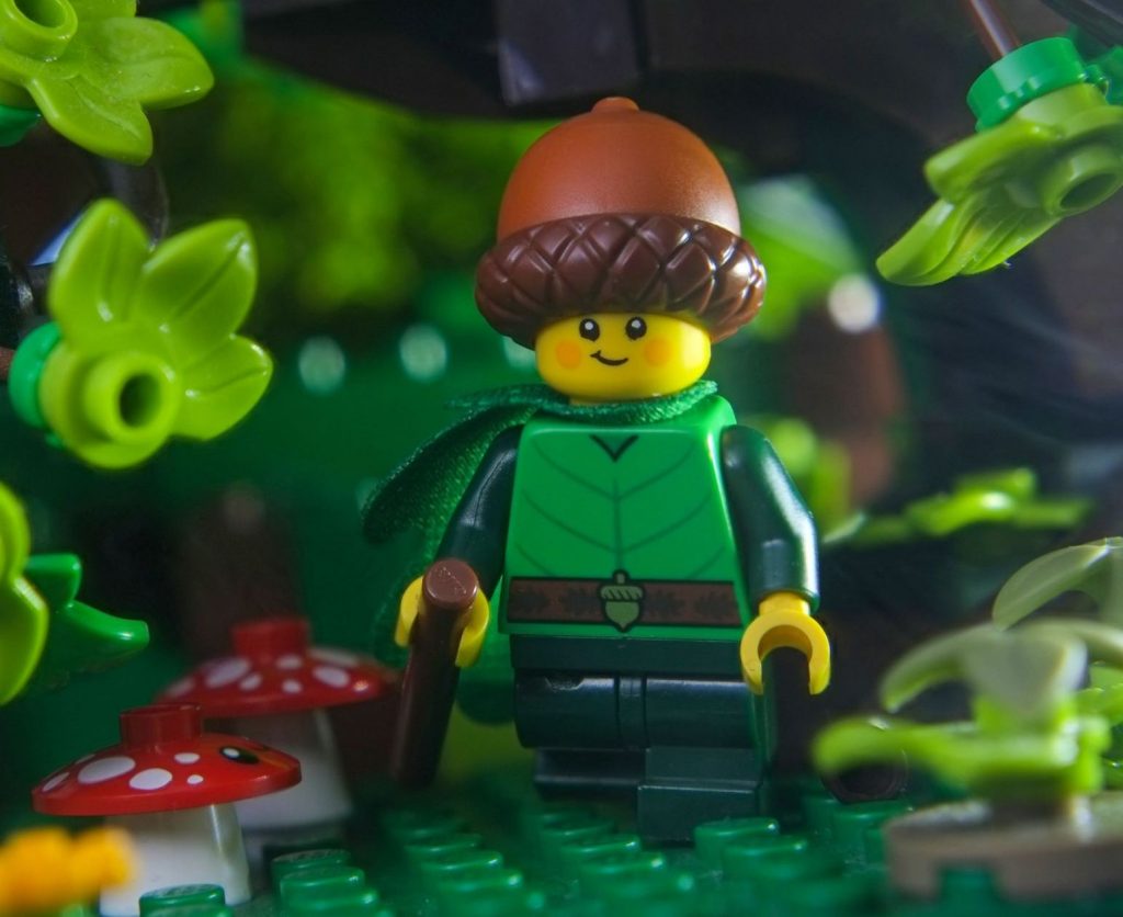 LEGO boy in acorn hat and acorn leaf-like coat