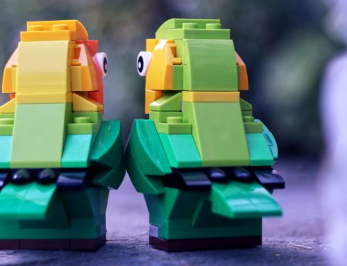 Love Is in the Air! – LEGO Valentine Lovebirds 40522 Review