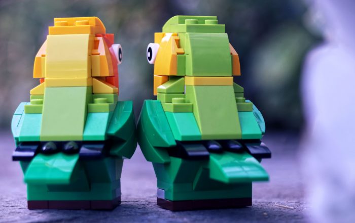 LEGO brick-built lovebirds from 40522 set