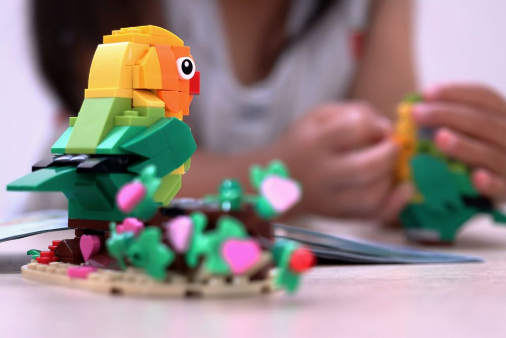  LEGO 40522 brick-built lovebird "staring" at child's hands building another lovebird