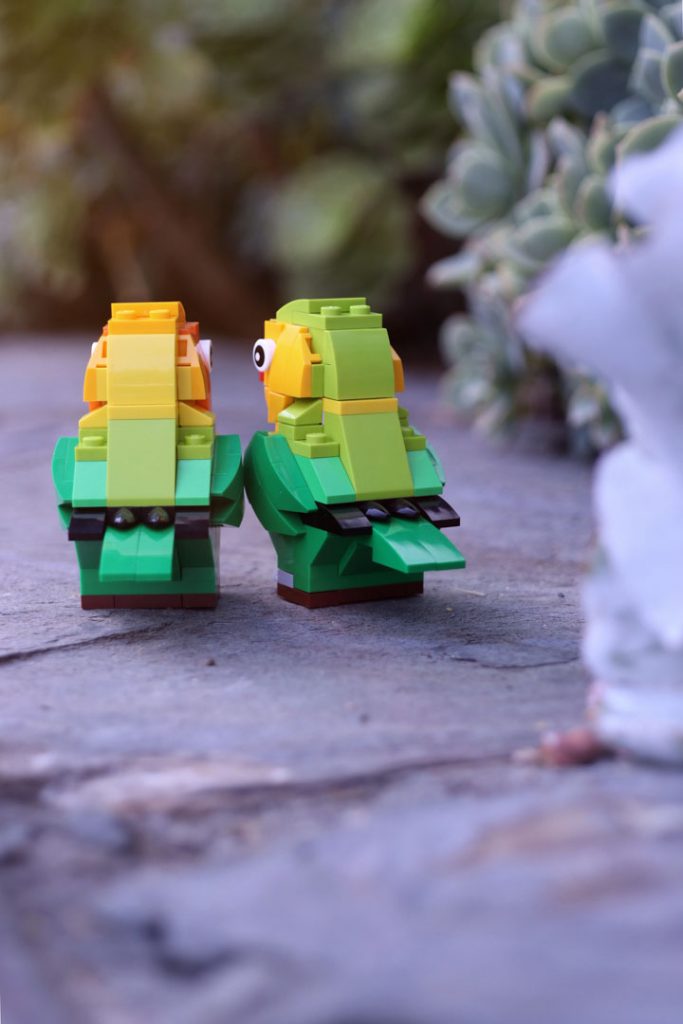 LEGO 40522 lovebirds walking among succulents, shot from behind