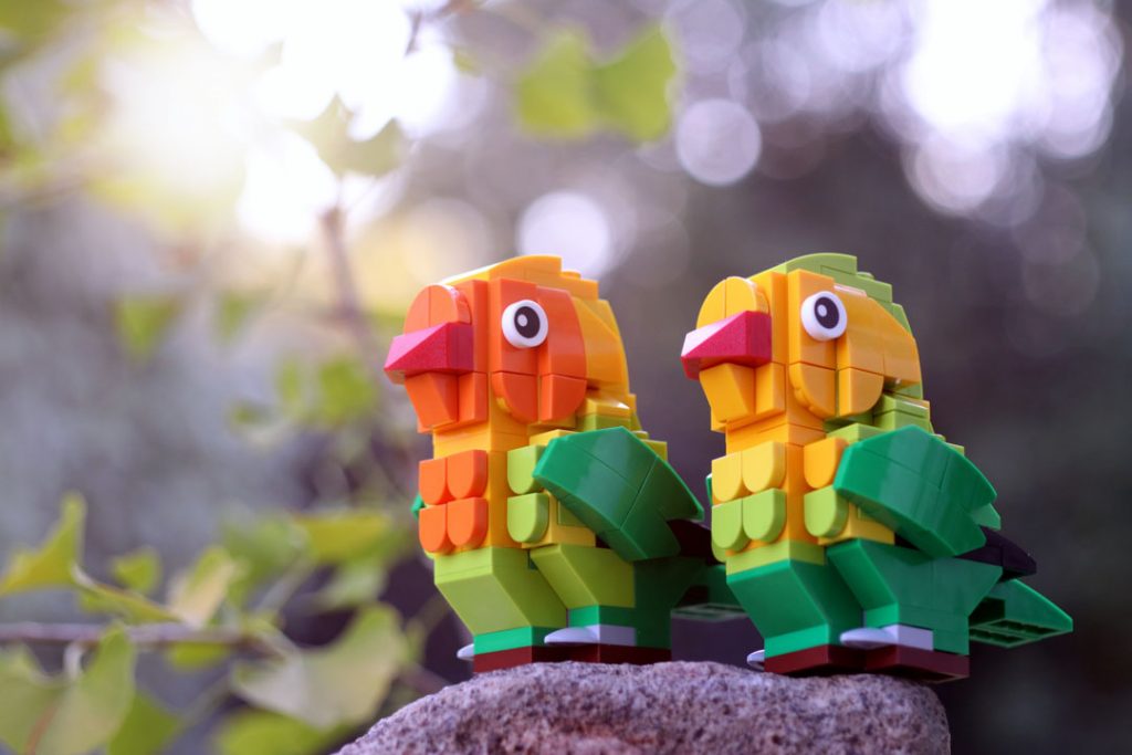 LEGO 40522 lovebirds looking in the same direction