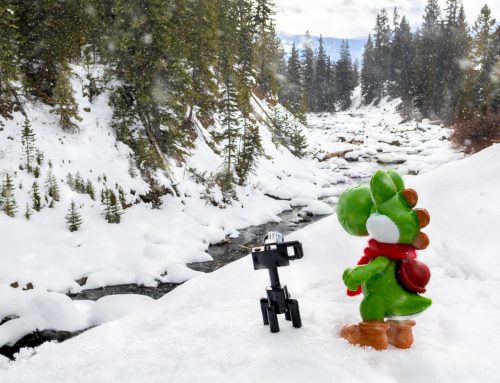 A Yellowstone Winter Adventure (with Toys!)